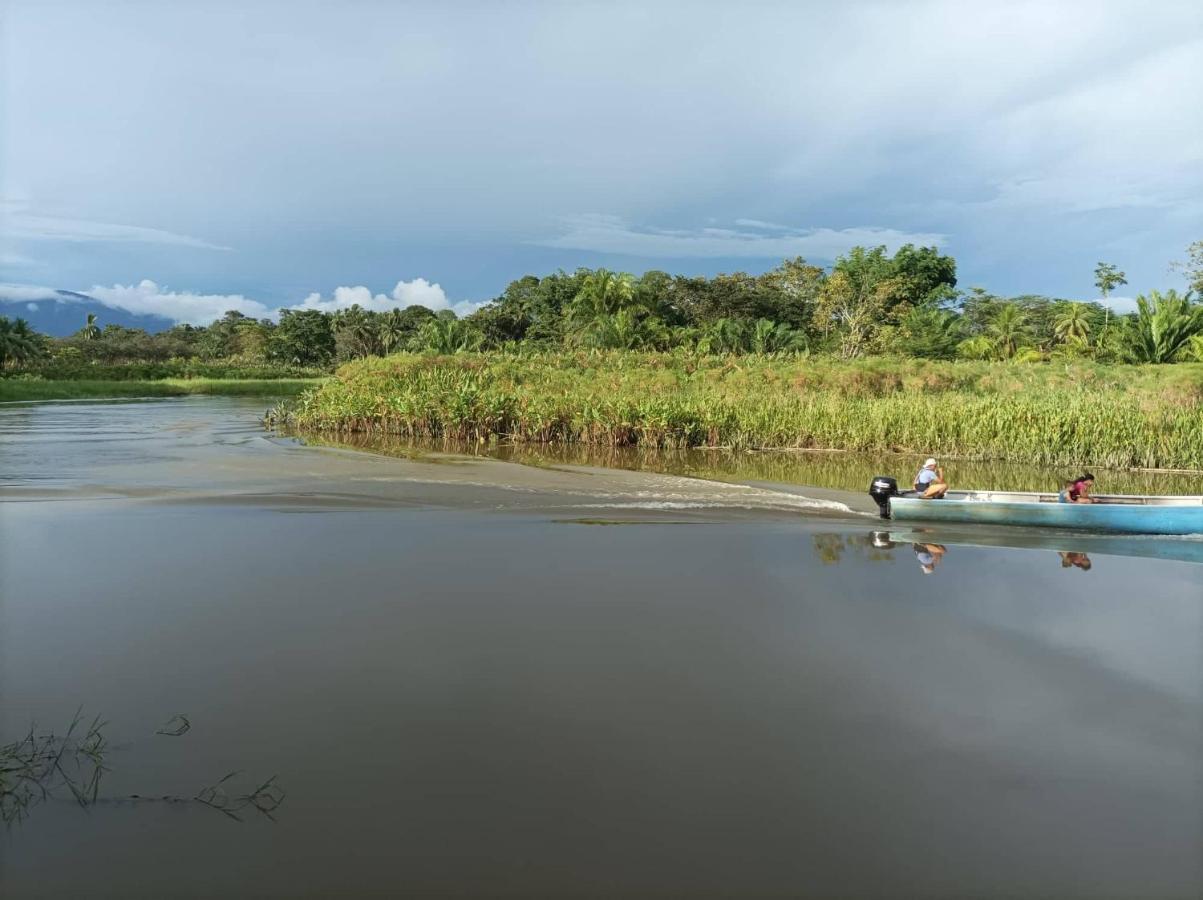 Hotel Gaviotas De Osa Sierpe 外观 照片