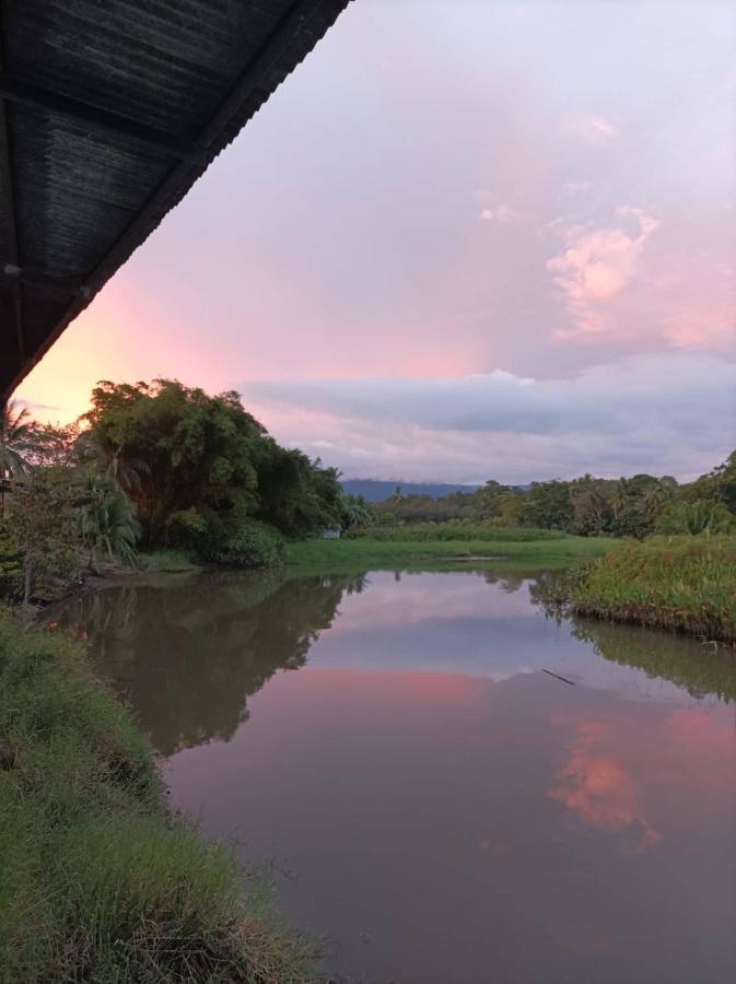 Hotel Gaviotas De Osa Sierpe 外观 照片