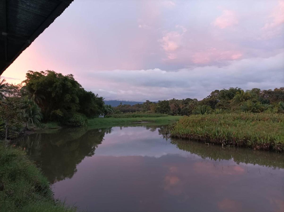 Hotel Gaviotas De Osa Sierpe 外观 照片