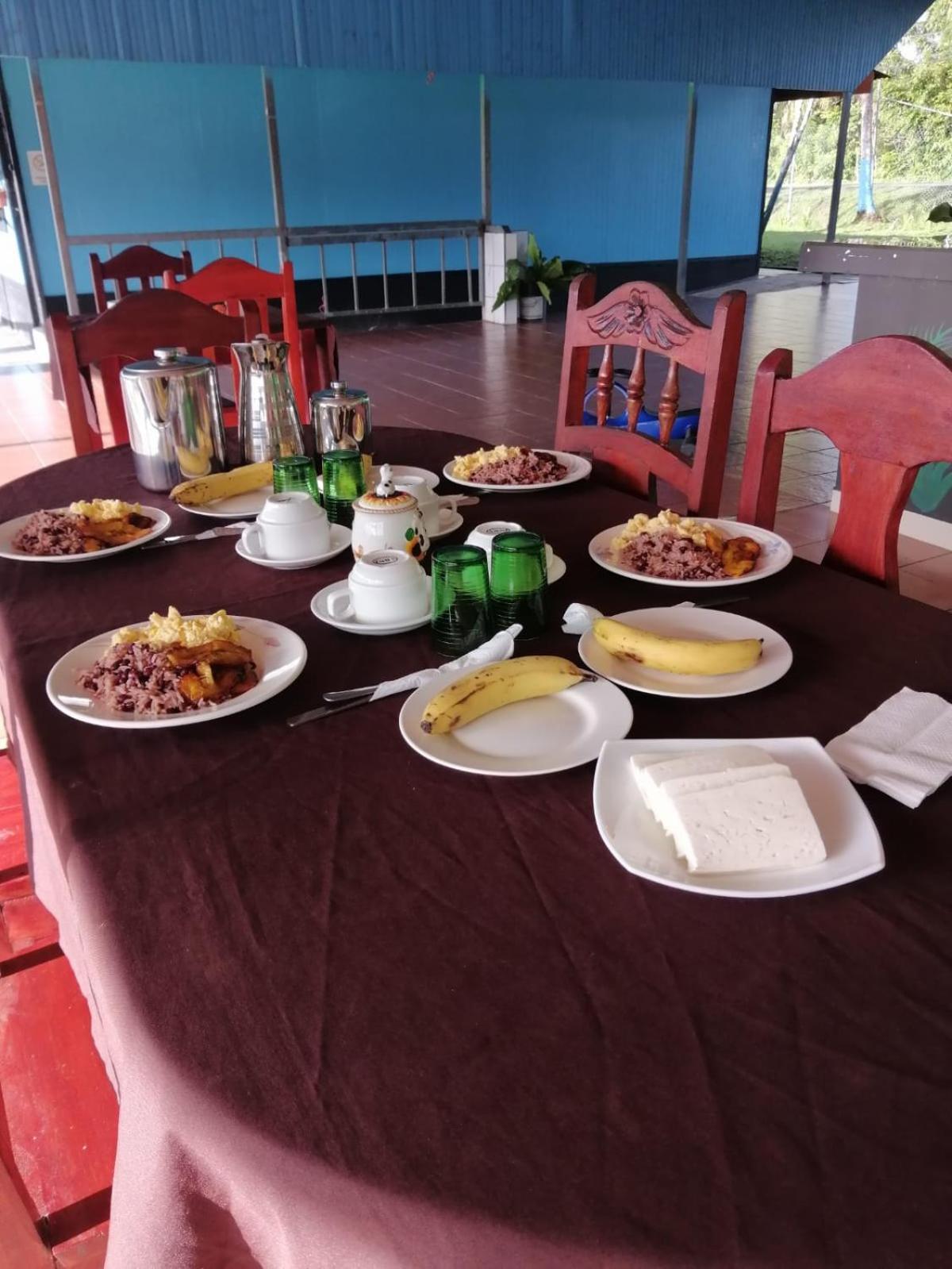 Hotel Gaviotas De Osa Sierpe 外观 照片